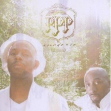 Platinum Pied Pipers: Abundance