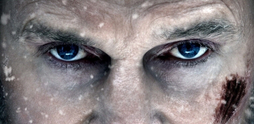 Liam Neeson from The Grey Liam Neeson from The Grey