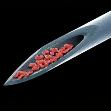 Peter Gabriel: Live Blood CD Peter Gabriel: Live Blood CD