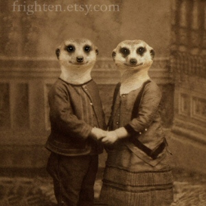 Meerkat Art Print Meerkat Art Print
