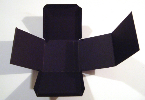 Slow Invasion Cube bent Slow Invasion Cube bent