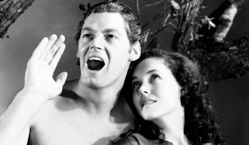 Johnny Weissmuller as Tarzan