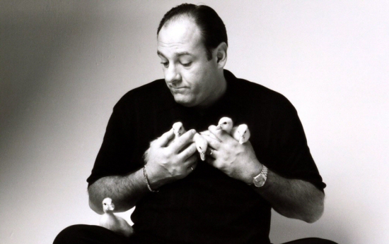James Gandolfini and ducklings James Gandolfini and ducklings