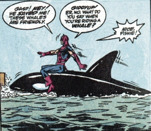 Hawkeye on a Whale Hawkeye on a Whale