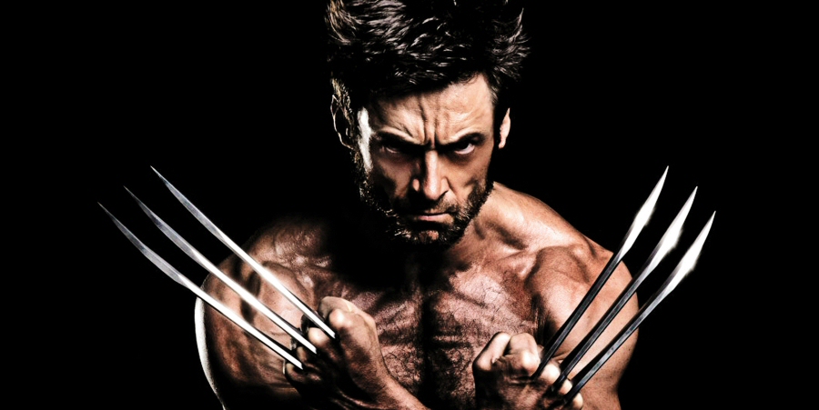 Wolverine, claws out