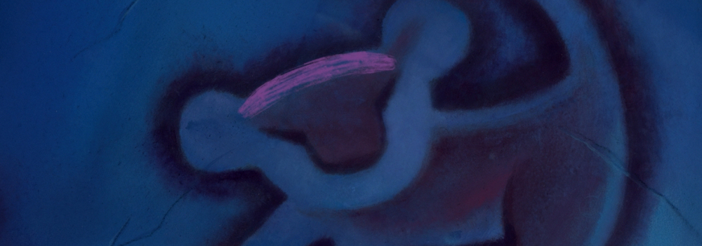 Simba glyph marked on the tree